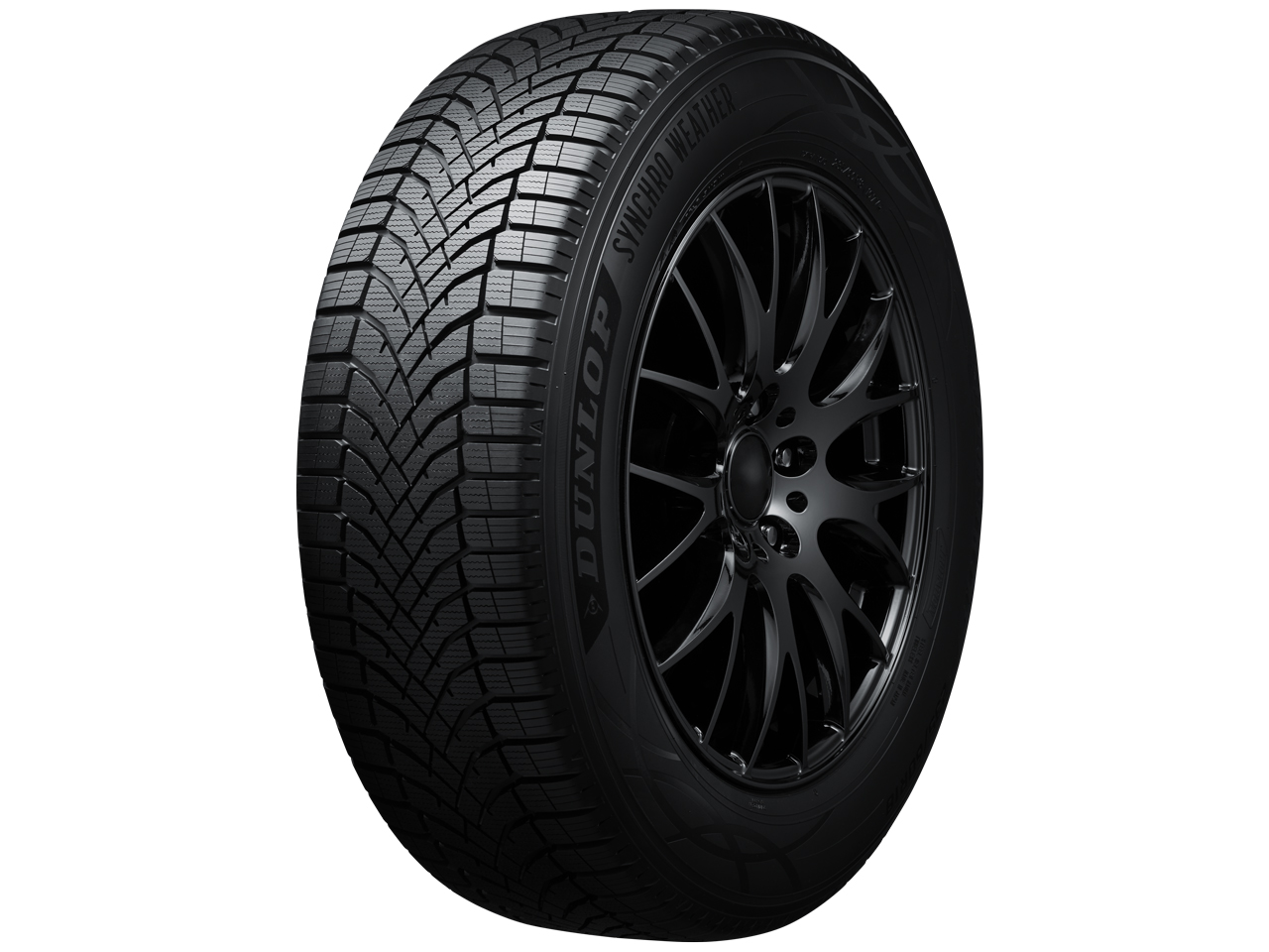 SYNCHRO WEATHER 275/35R20 102V XL