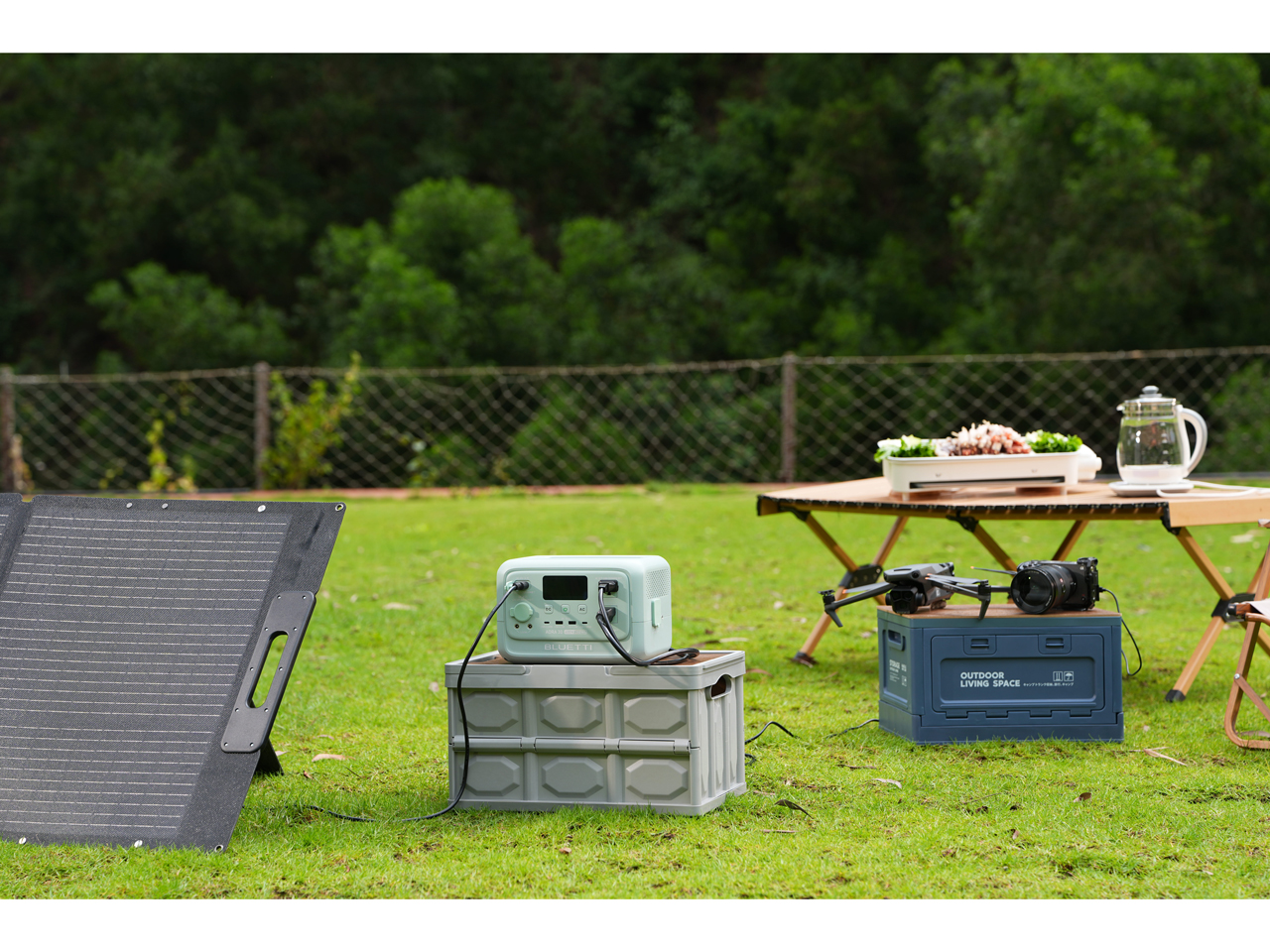 AORA 30 V2 [�~���g�O���[��]