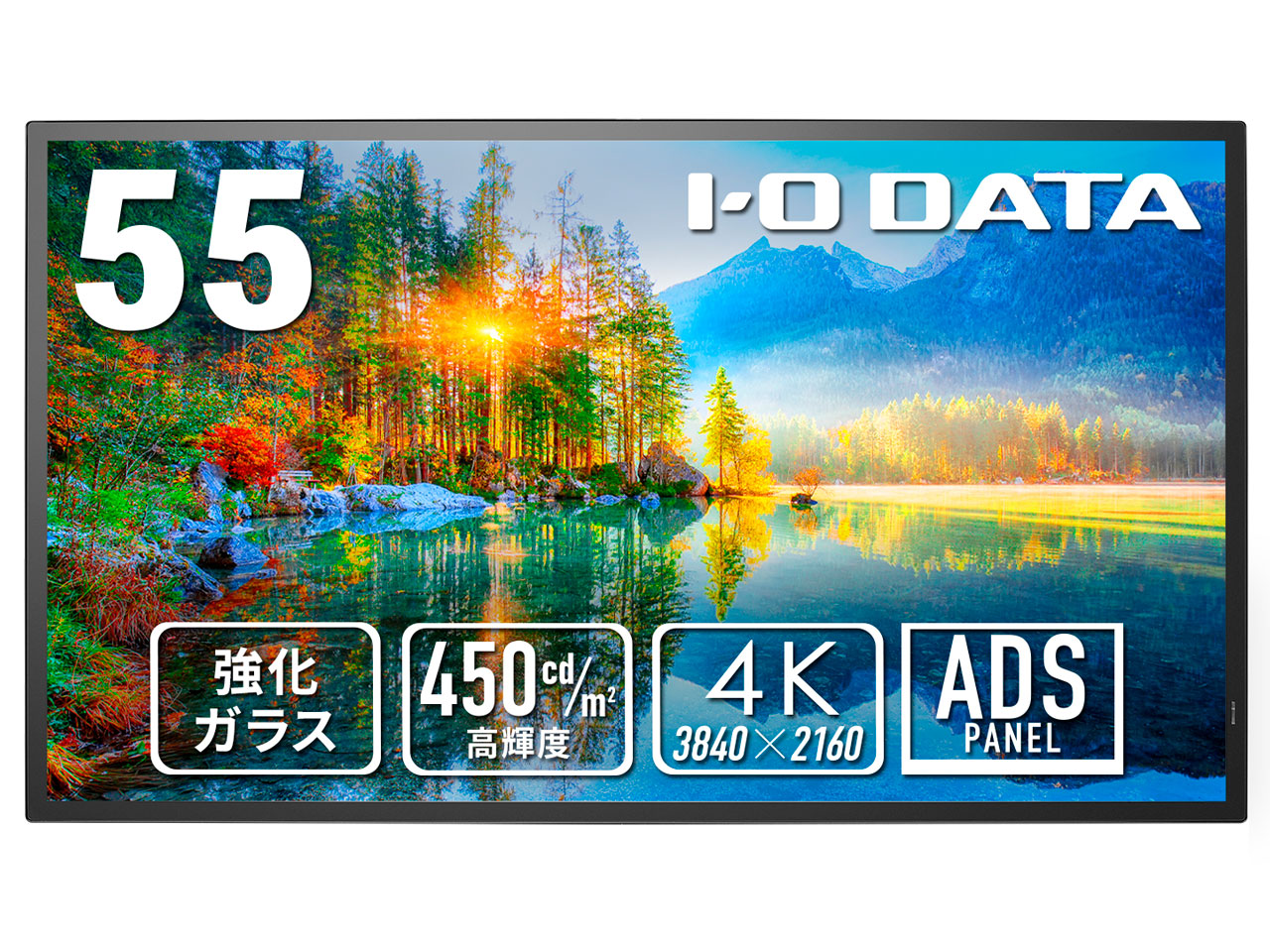 EX-U551D-P [55インチ ブラック]