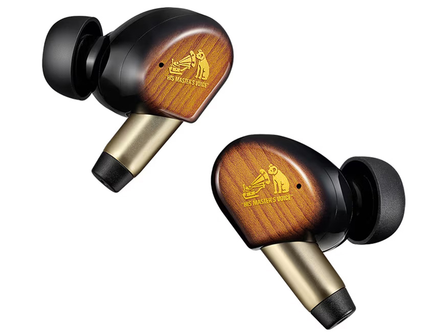 Victor WOOD master HA-FW5000T-T [�T���o�[�X�g�u���E��]