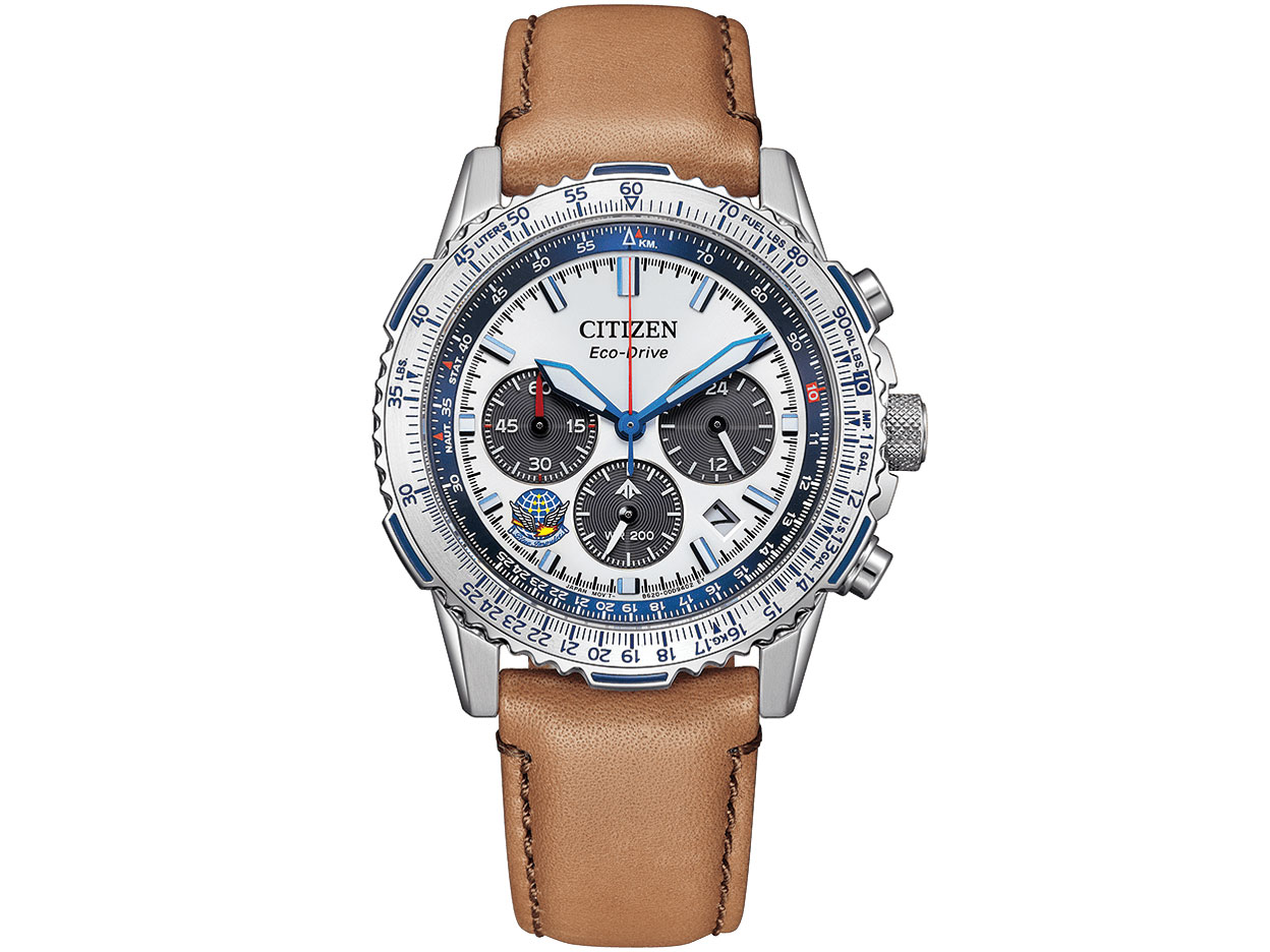 プロマスター SKY ブルーインパルス限定モデル CA4661-09A