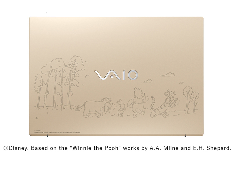 VAIO F14 �f�B�Y�j�[���f��(���܂̃v�[����) VJF1428 Windows 11 Home�ECore 3 100U�E8GB�������ESSD 256GB�EOffice�Ȃ� [�T�e���S�[���h] �̐��i�摜