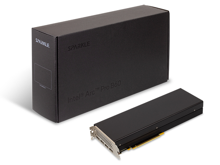 SPARKLE Intel Arc Pro B60 24GB Passive SBP60B-24G [PCIExp 24GB] �̐��i�摜
