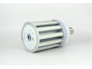 AM-NF100W-N-TM [�����F] �̐��i�摜