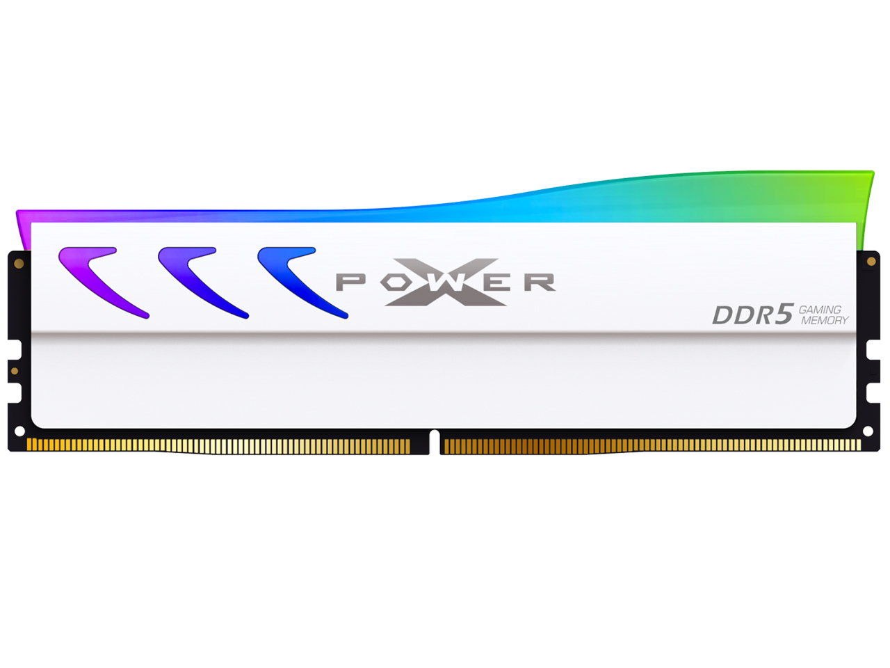 SP032GXLWU60FFDL [DDR5 PC5-48000 16GB 2���g] �̐��i�摜