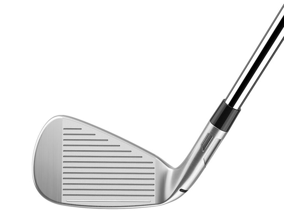 Qi MAX �A�C�A�� SW [REAX 65 �t���b�N�X�FR]