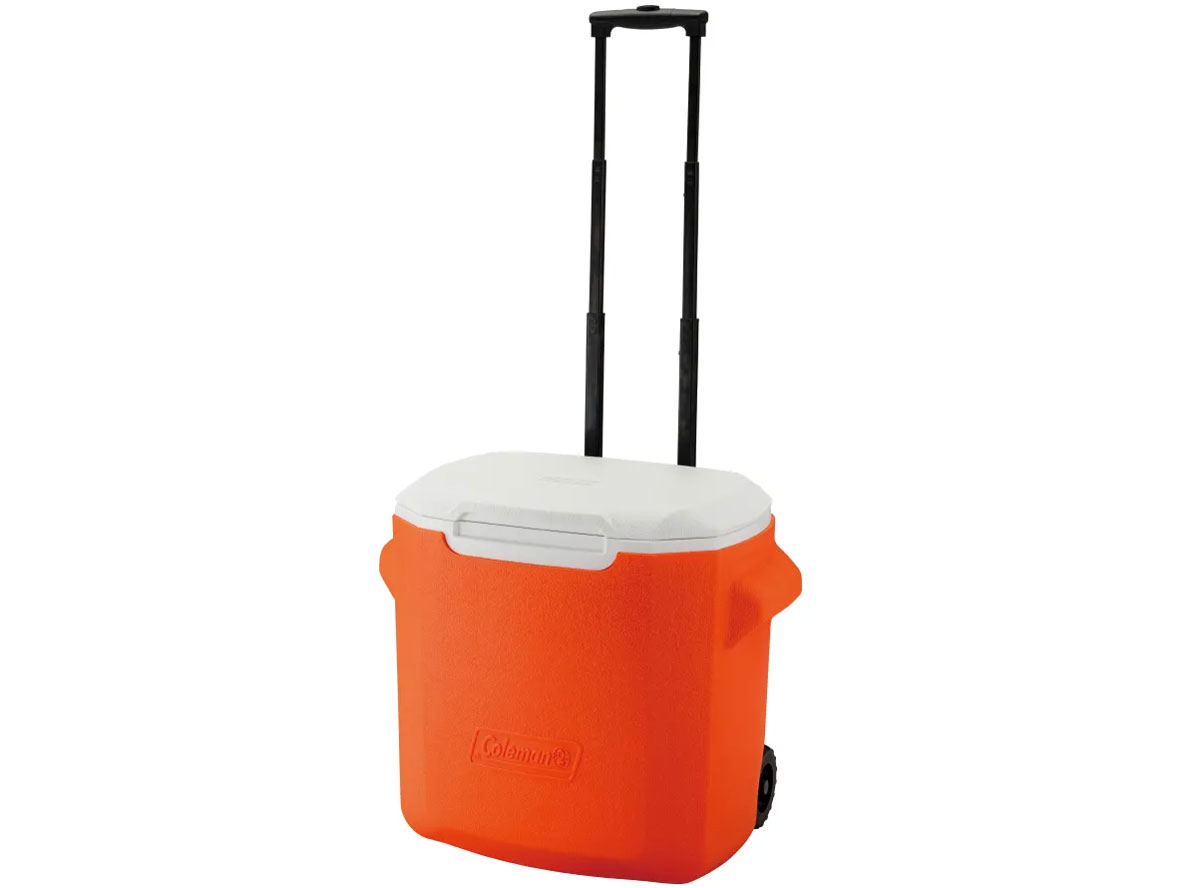 �z�C�[���N�[���[/28QT 2238174 [�I�����W] �̐��i�摜