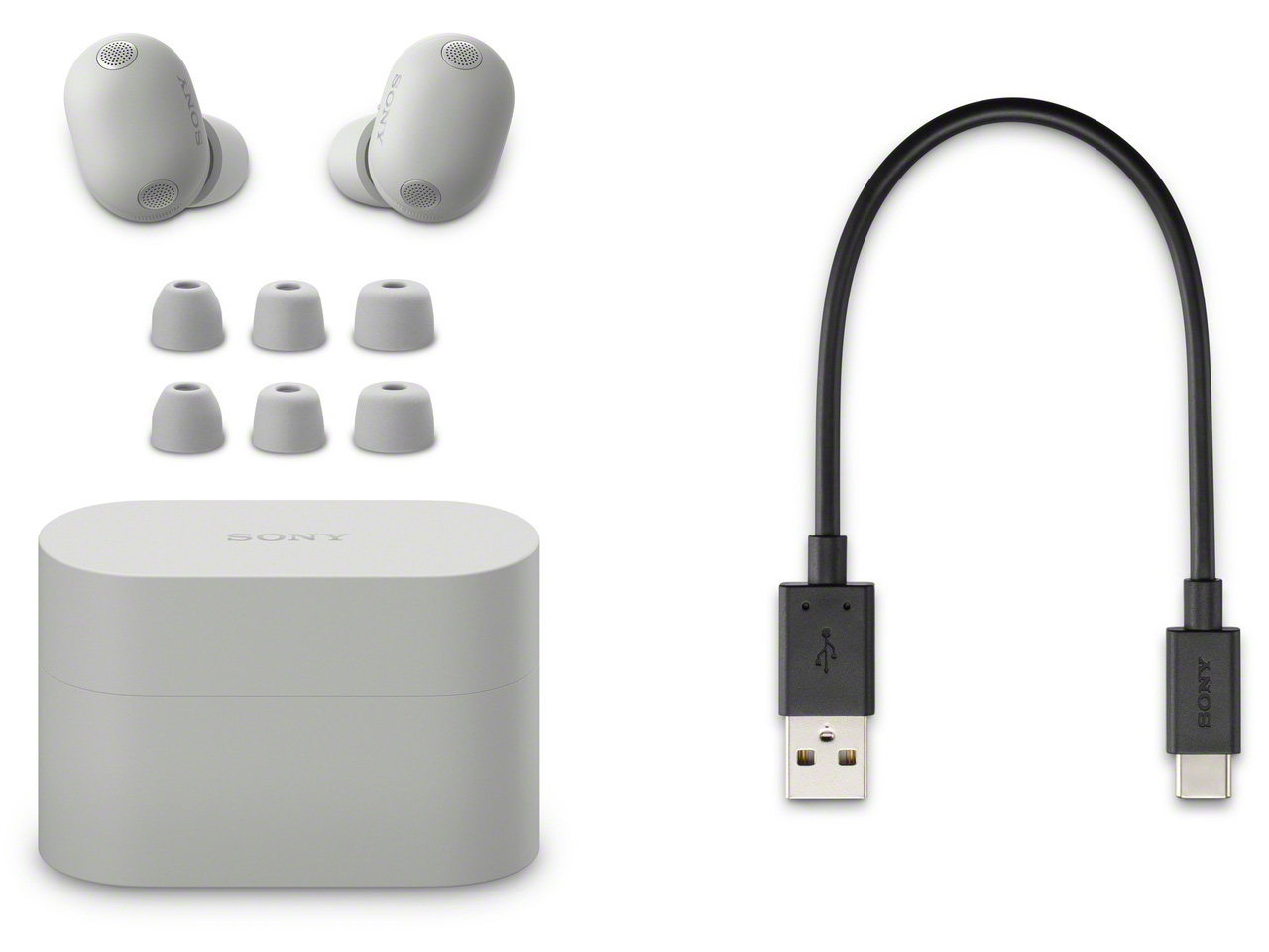 WF-1000XM6 (S) [�v���`�i�V���o�[]