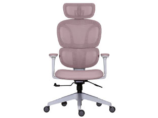 Contieaks �z�[�l�b�g 477456 [�p�X�e���s���N]