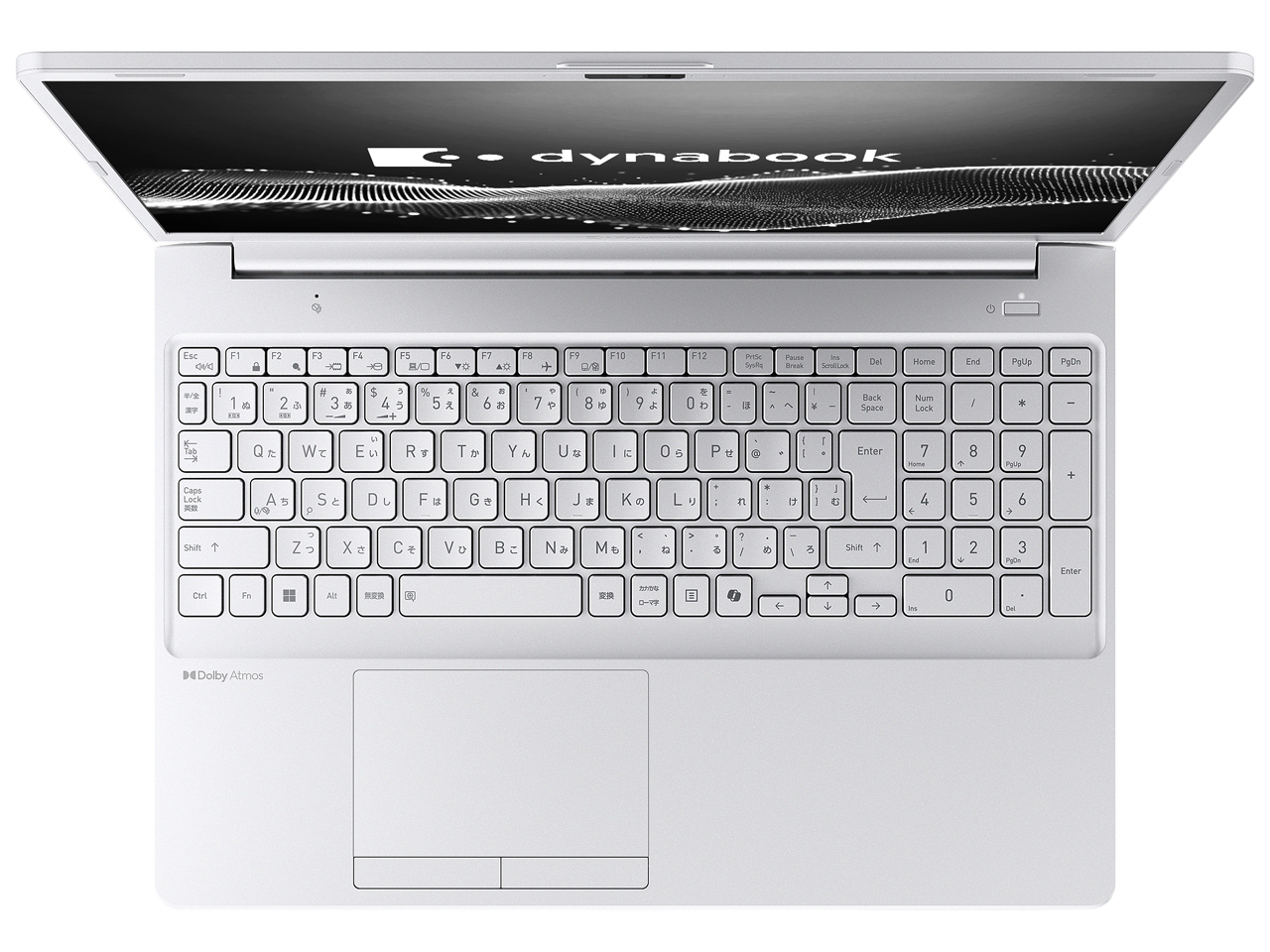 dynabook C5 P1C5APES [�A�b�V���V���o�[]