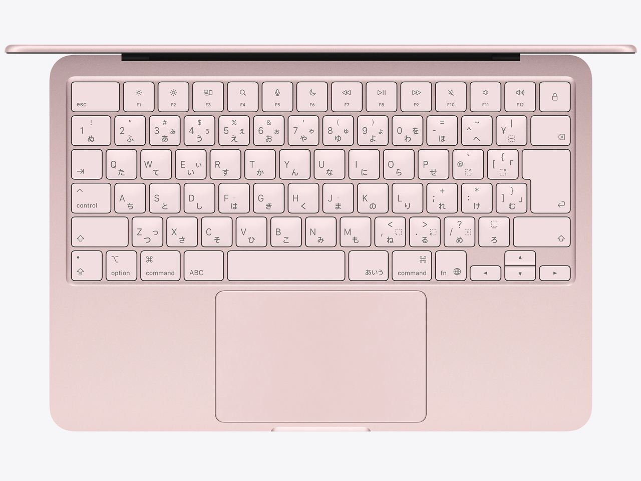MacBook Neo 13�C���` Liquid Retina�f�B�X�v���C MHFH4J/A [�u���b�V��]