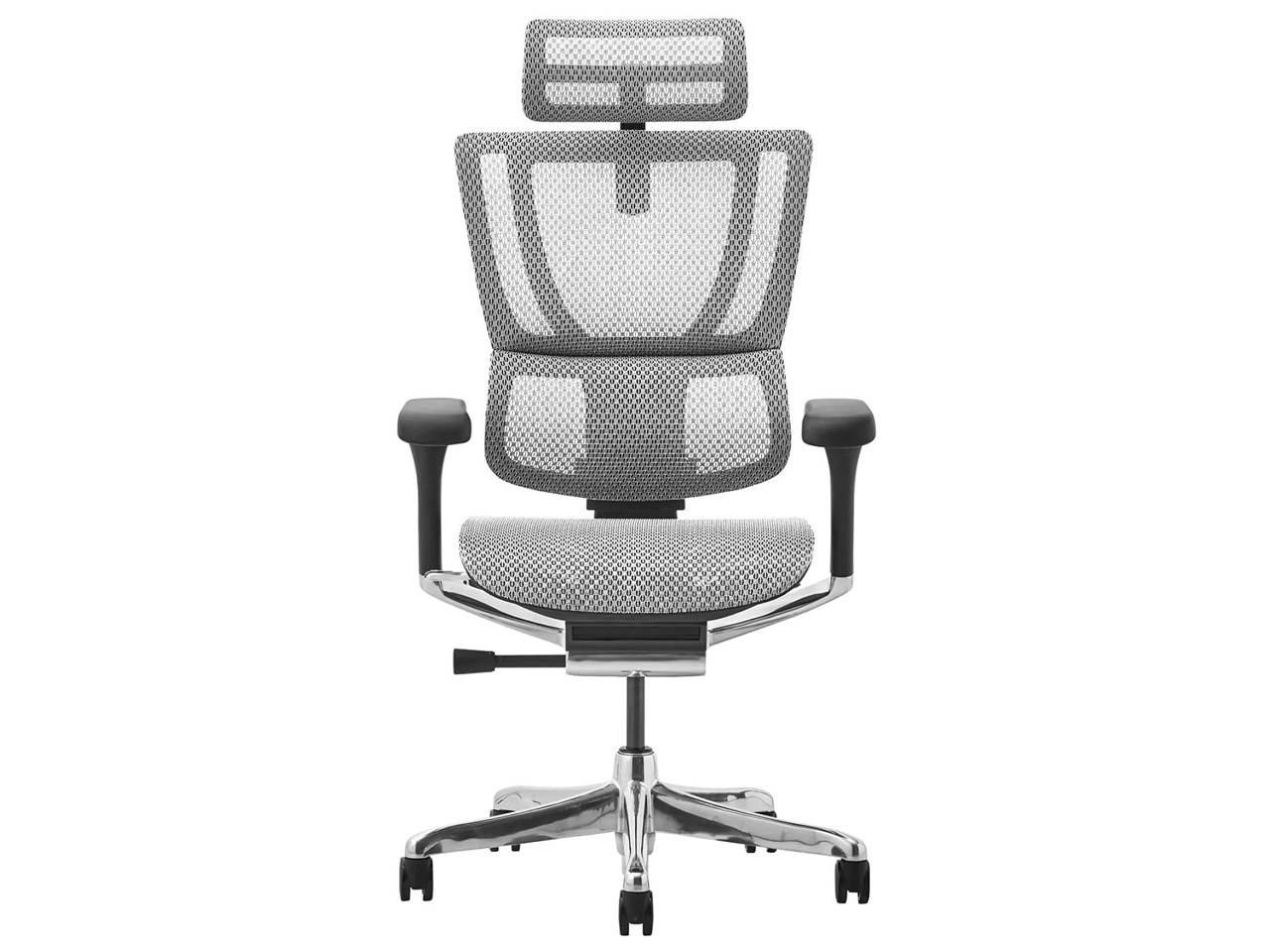 Ergohuman FIT2 FIT2-HAM-DR-BF-WH [�z���C�g]