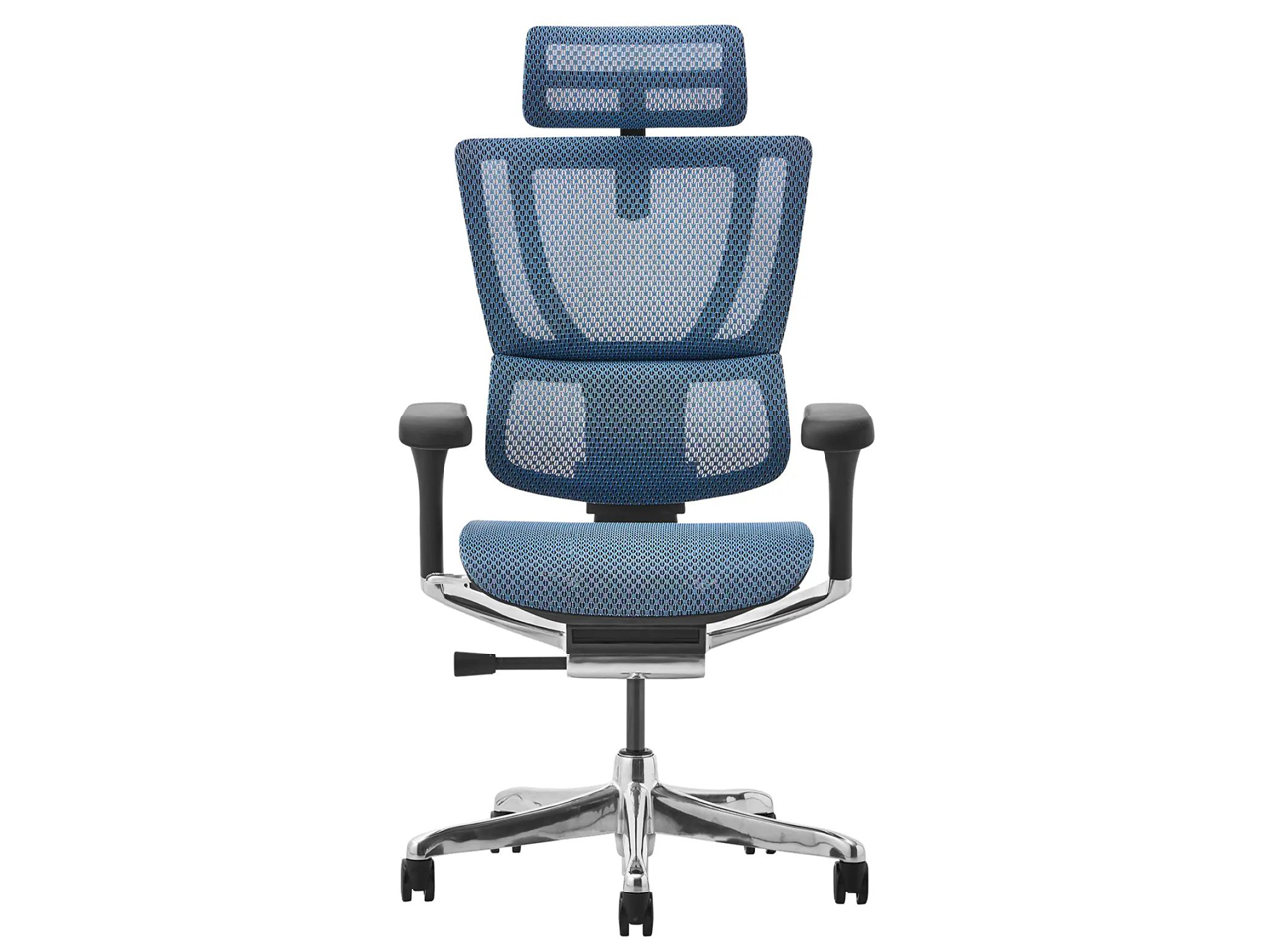 Ergohuman FIT2 FIT2-HAM-DR-BF-BL [�u���[]