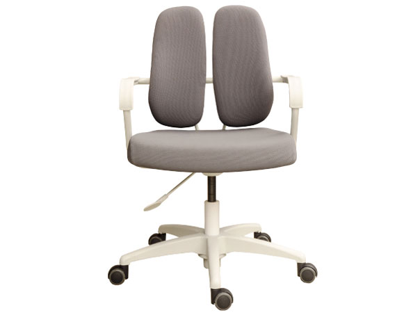 DR-260FW [�O���[]