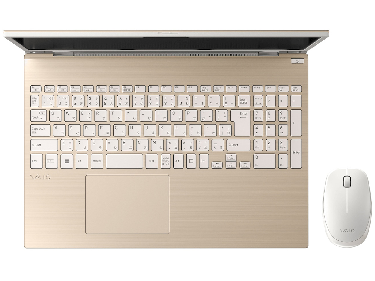 VAIO F16 VJF1618 Windows 11 Home�ECore i5 1334U�E16GB�������ESSD 512GB�EM365(24������)/Office H&B�E�}�E�X����EVAIO�I���W�i�� �p�\�R���P�[�X�t [�T�e���S�[���h]