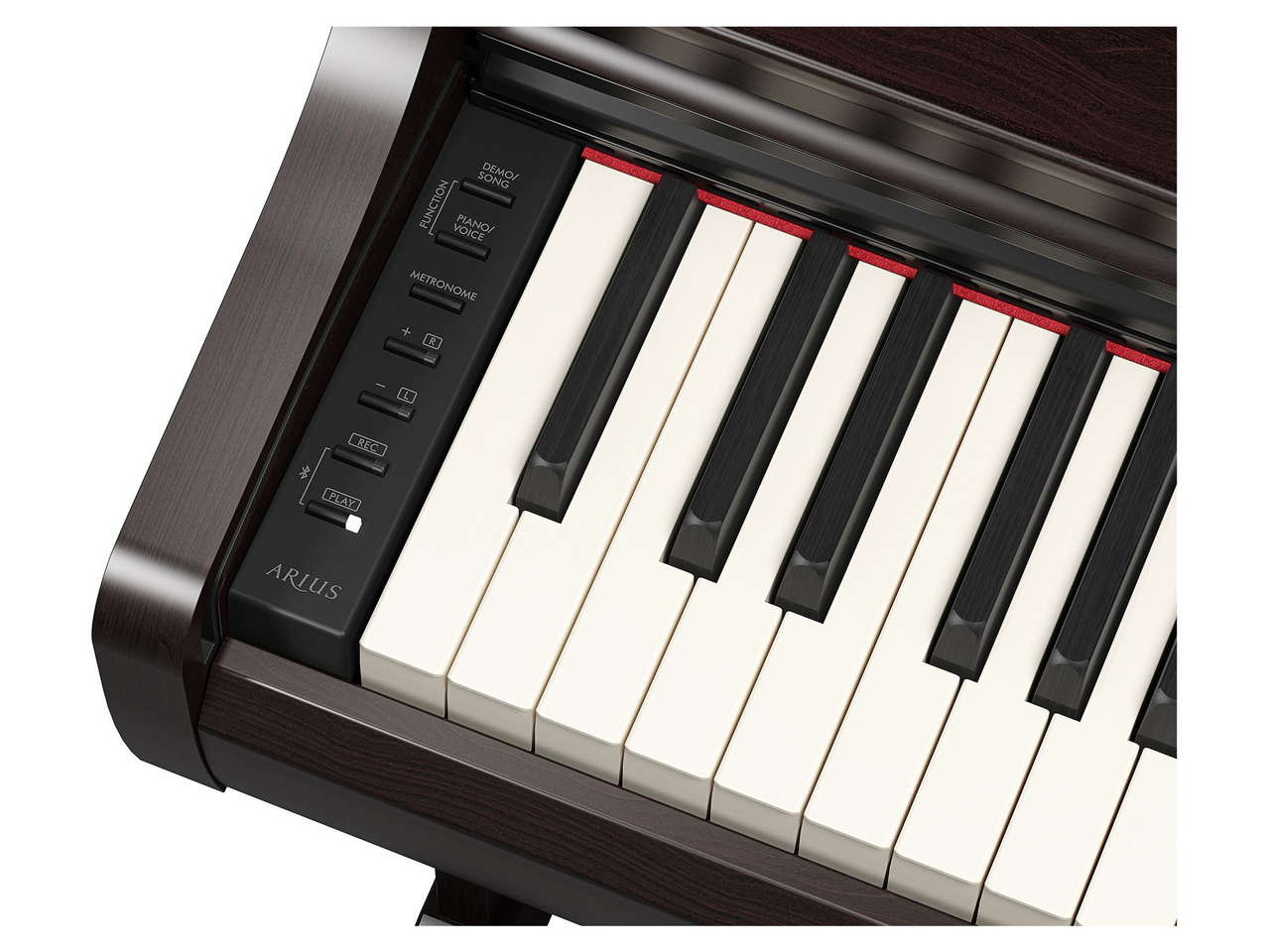 ARIUS YDP-166R [�j���[�_�[�N���[�Y�E�b�h��]