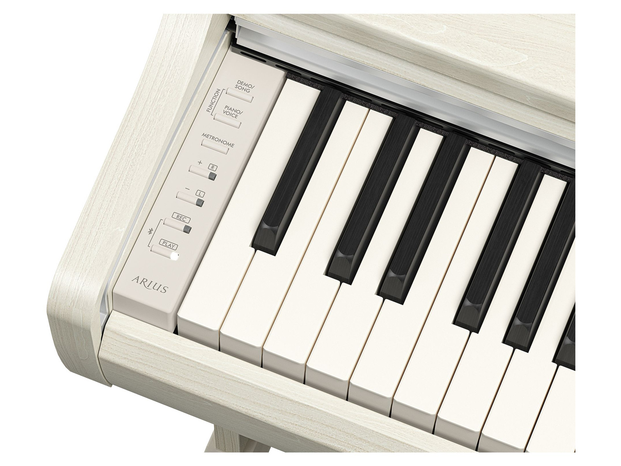ARIUS YDP-166WB [�z���C�g�o�[�`��]