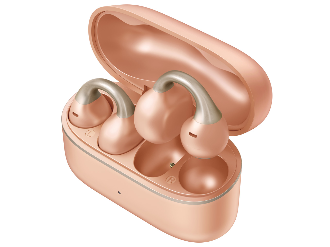 RB-C10-P [�T�N���p�[��]