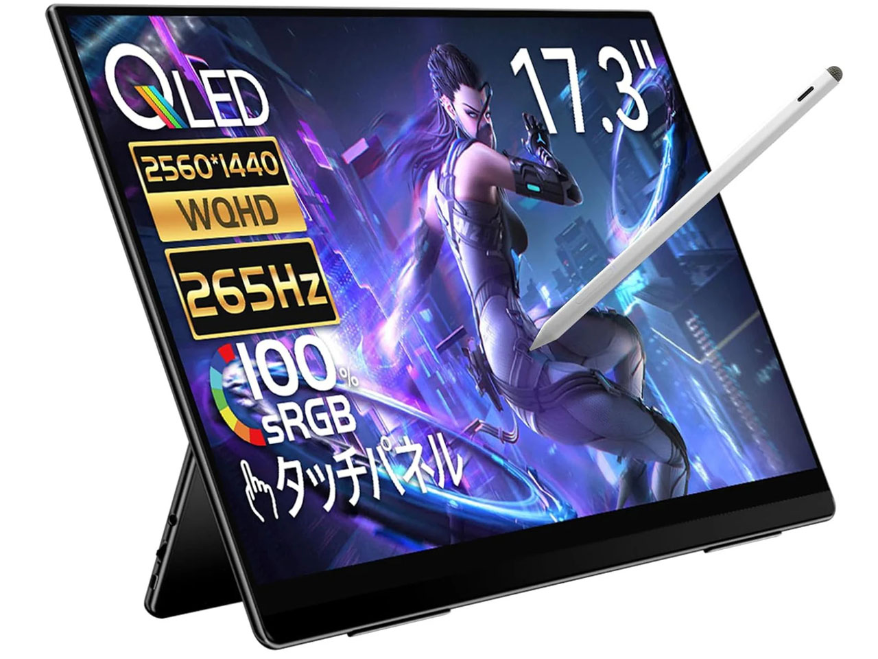 EHOMEWEI RQHG-173PW [17.3インチ]