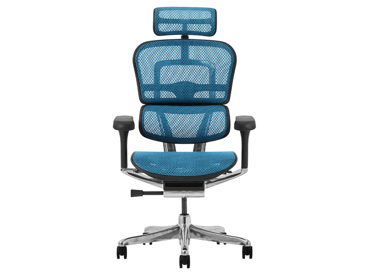 Ergohuman PRO2 EHP2-HAM-5D-DR-BF-BL [�u���[]