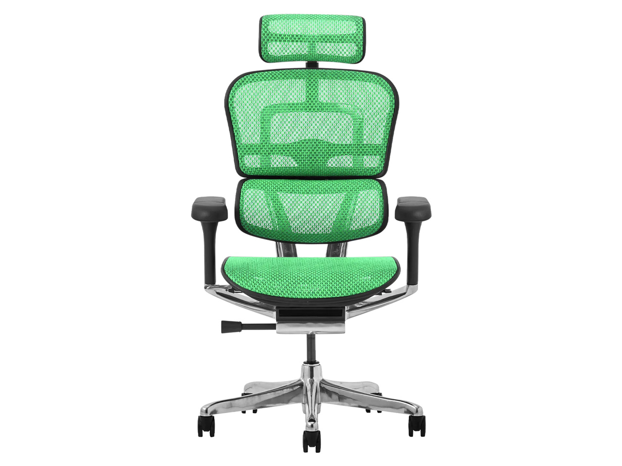 Ergohuman PRO2 EHP2-HAM-5D-DR-BF-GN [�O���[��]