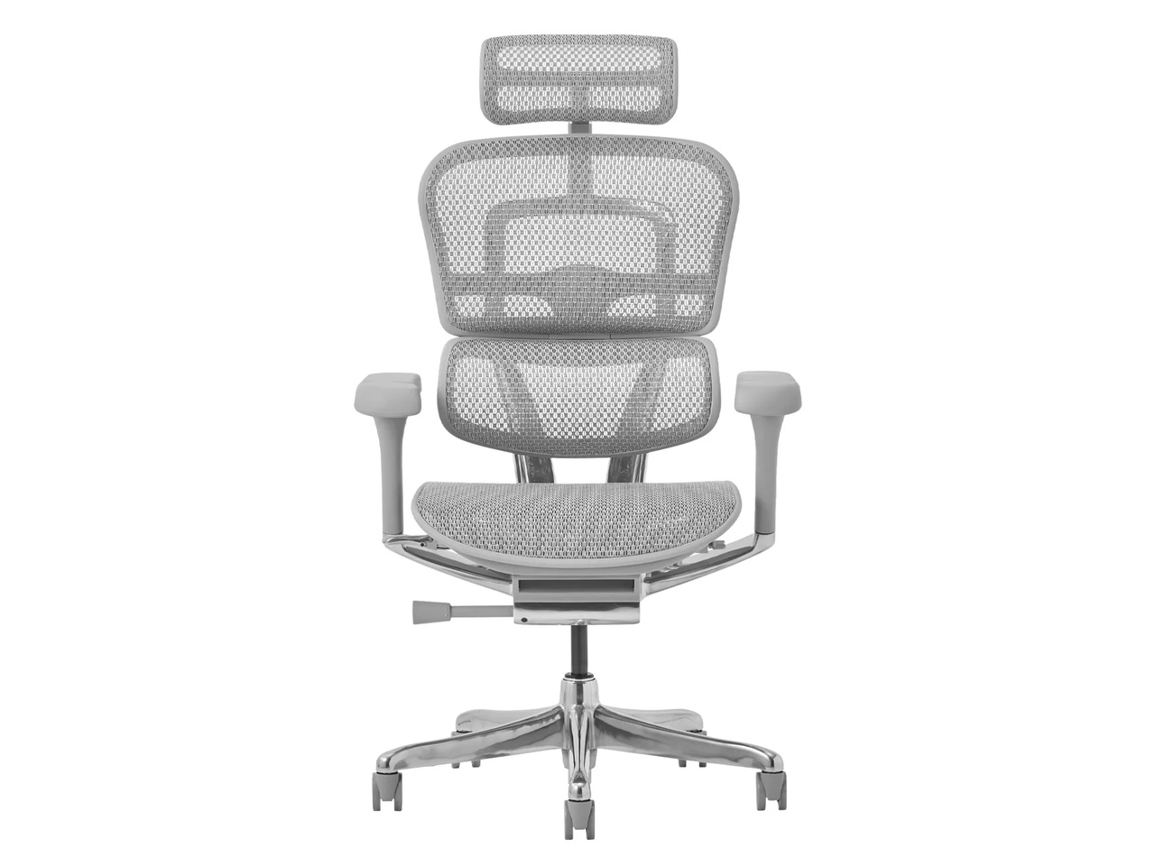 Ergohuman PRO2 EHP2-HAM-5D-DR-GF-WH [�z���C�g]
