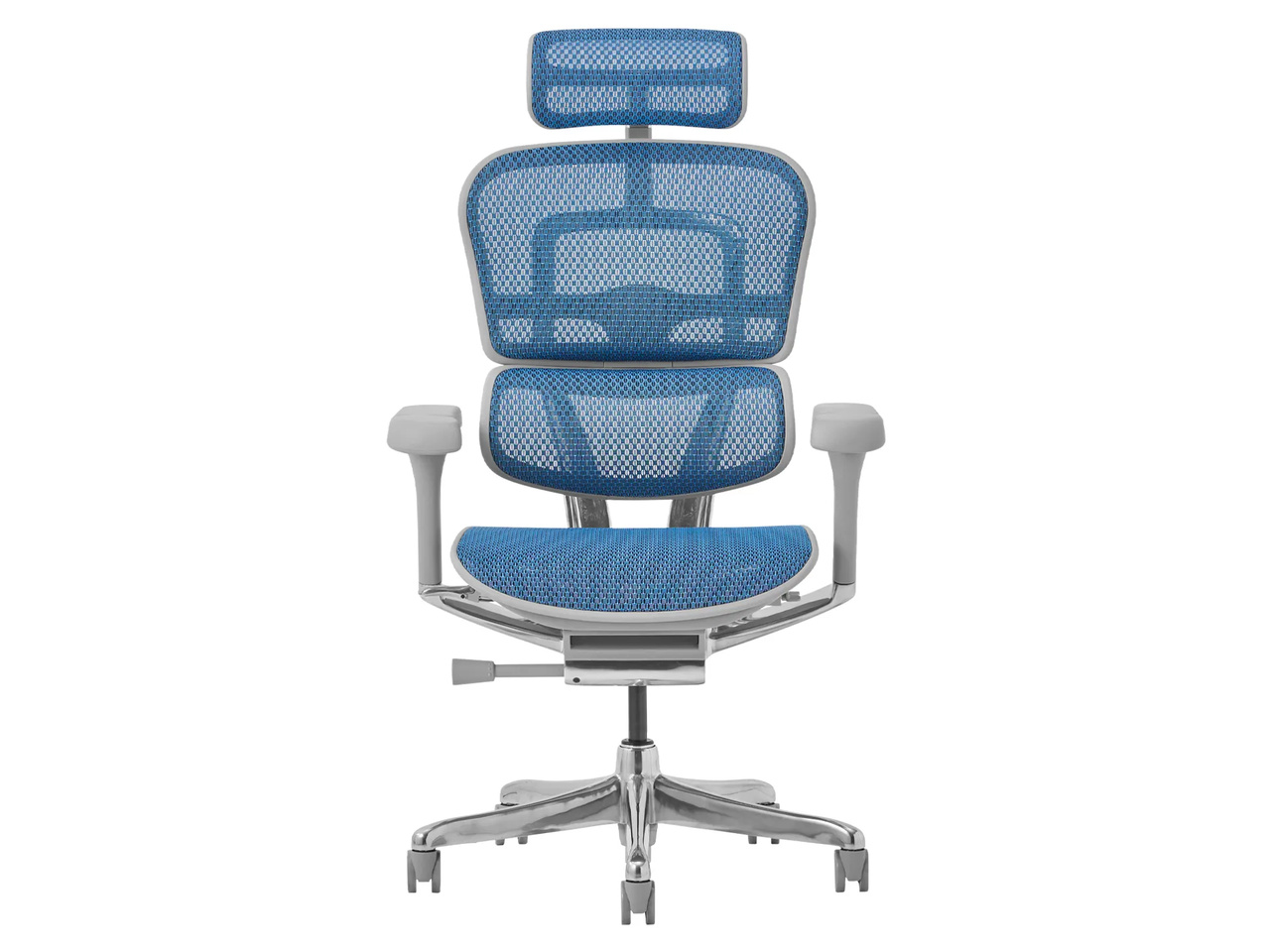 Ergohuman PRO2 EHP2-HAM-5D-DR-GF-BL [�u���[]