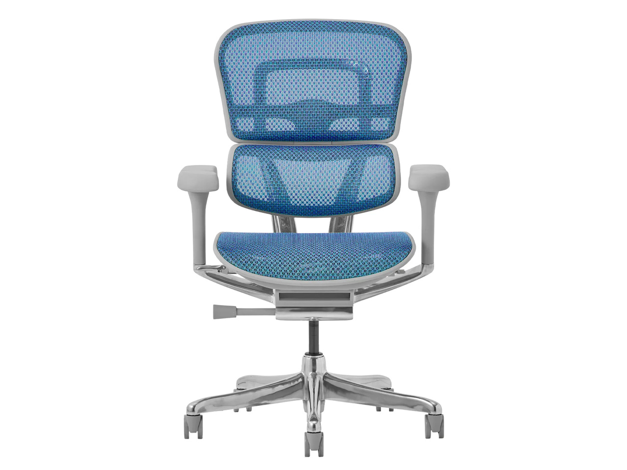 Ergohuman PRO2 EHP2-LAM-5D-DR-GF-BL [�u���[]