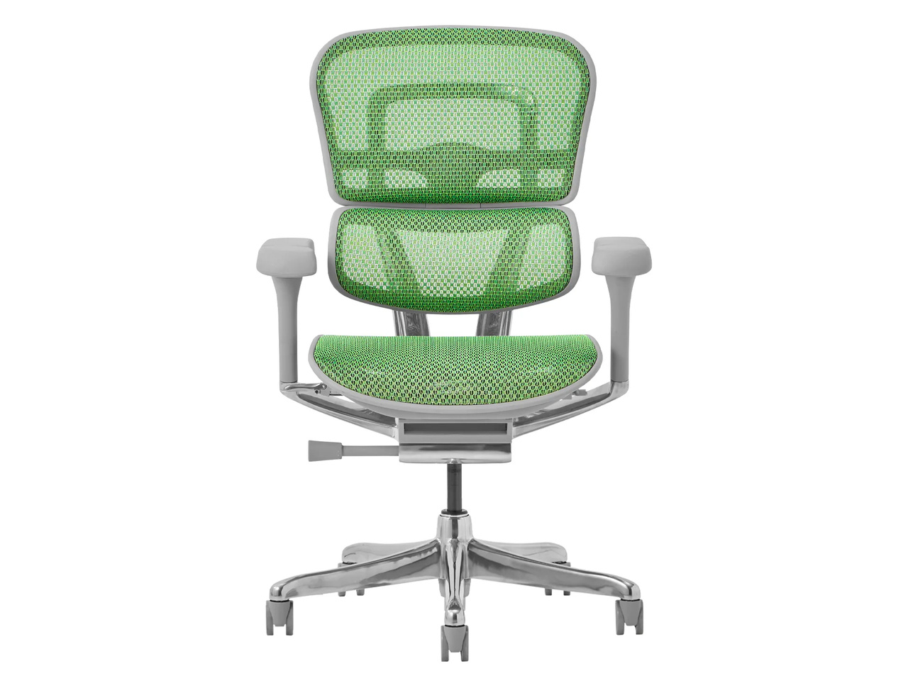 Ergohuman PRO2 EHP2-LAM-5D-DR-GF-GN [�O���[��]