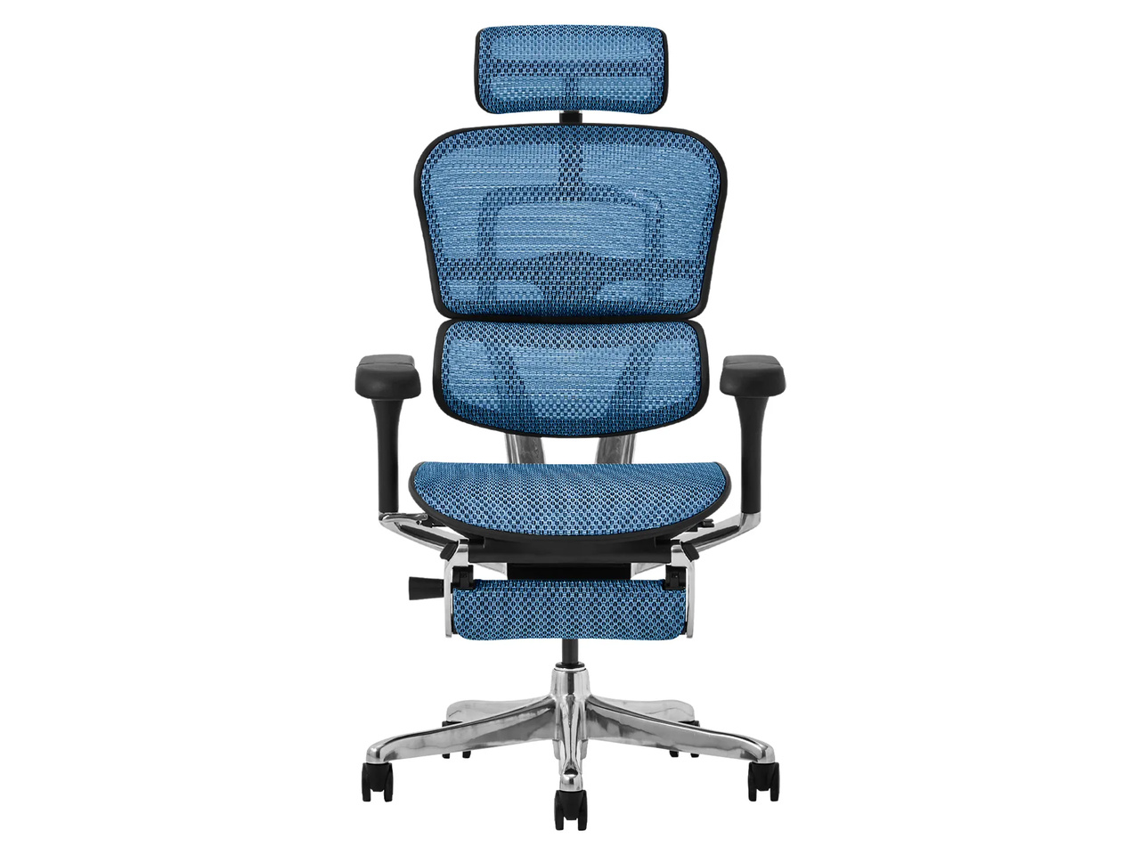 Ergohuman PRO2 Ottoman EHP2-LPL-5D-DR-BF-BL [�u���[]