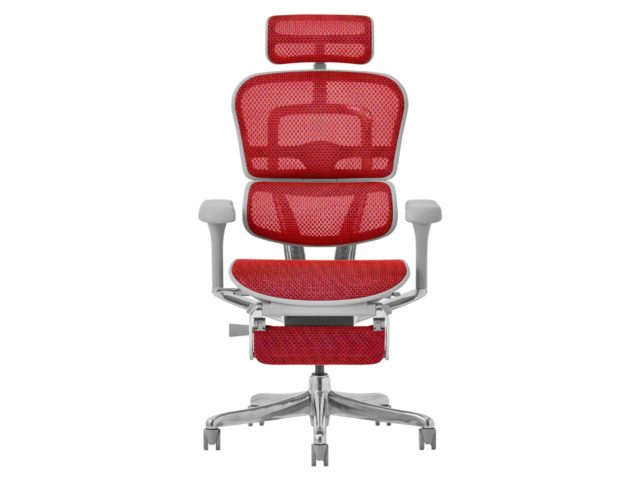 Ergohuman PRO2 Ottoman EHP2-LPL-5D-DR-GF-RD [���b�h]