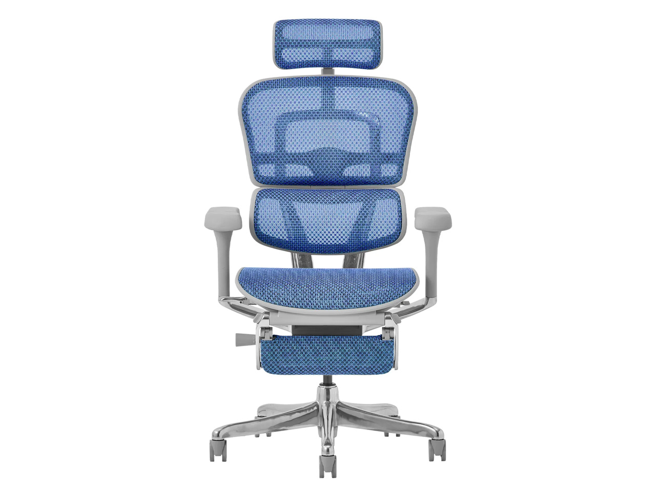 エルゴヒューマン Ergohuman PRO2 Ottoman EHP2-LPL-5D-DR-GF-BL