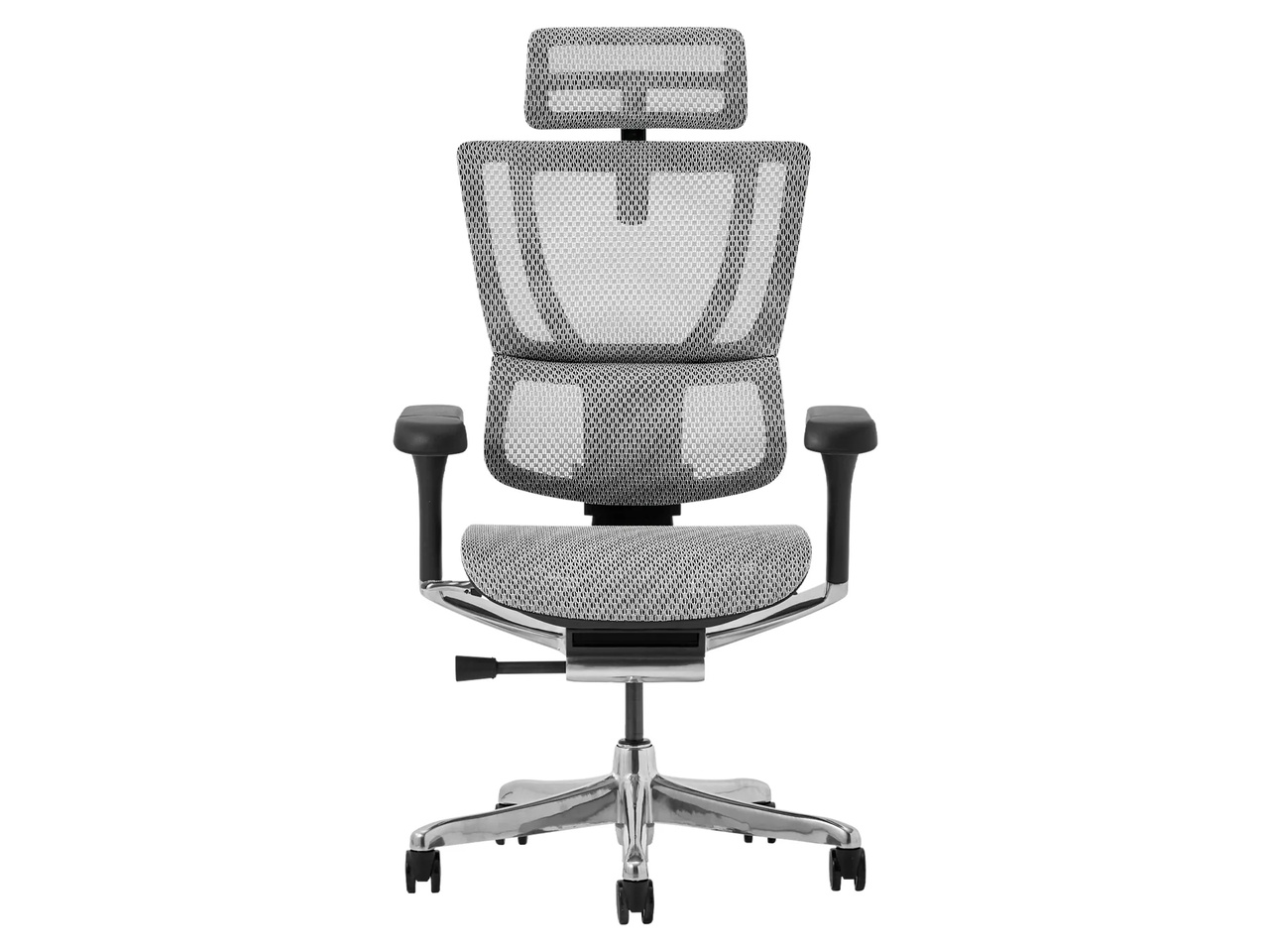 Ergohuman FIT2 FIT2-HAM-5D-DR-BF-WH [�z���C�g]