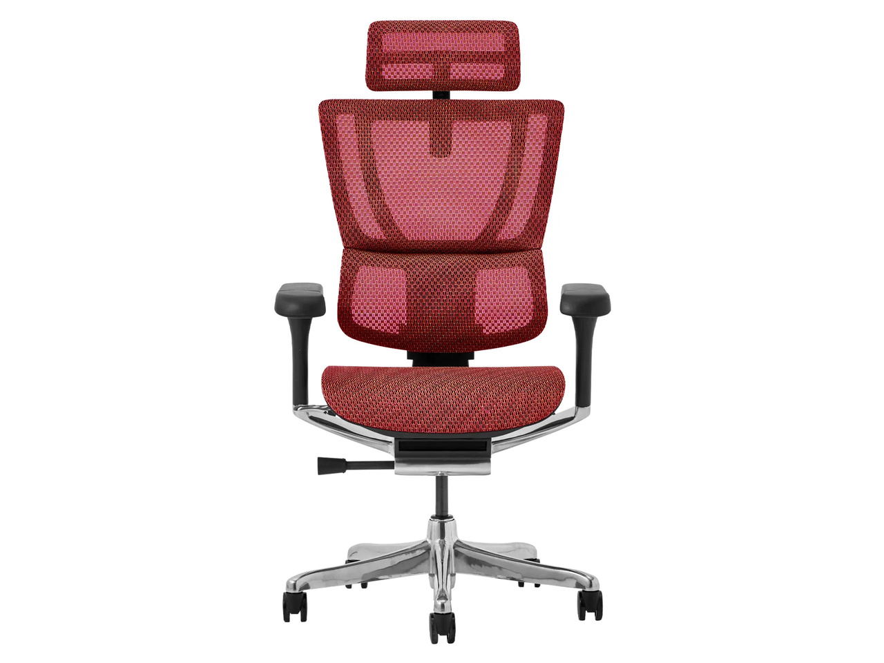Ergohuman FIT2 FIT2-HAM-5D-DR-BF-RD [���b�h]