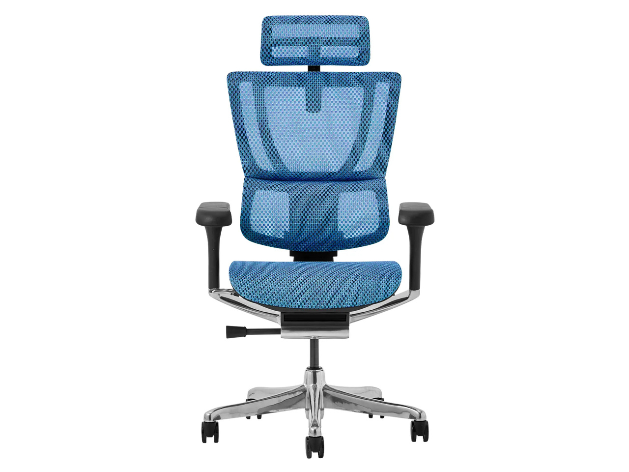 Ergohuman FIT2 FIT2-HAM-5D-DR-BF-BL [�u���[]