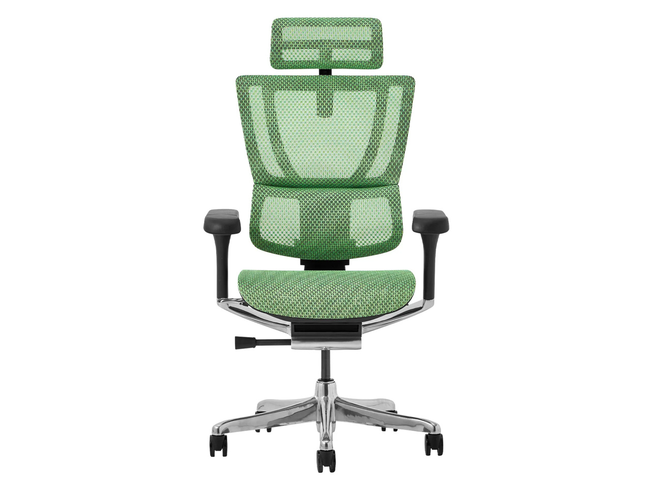 Ergohuman FIT2 FIT2-HAM-5D-DR-BF-GN [�O���[��]