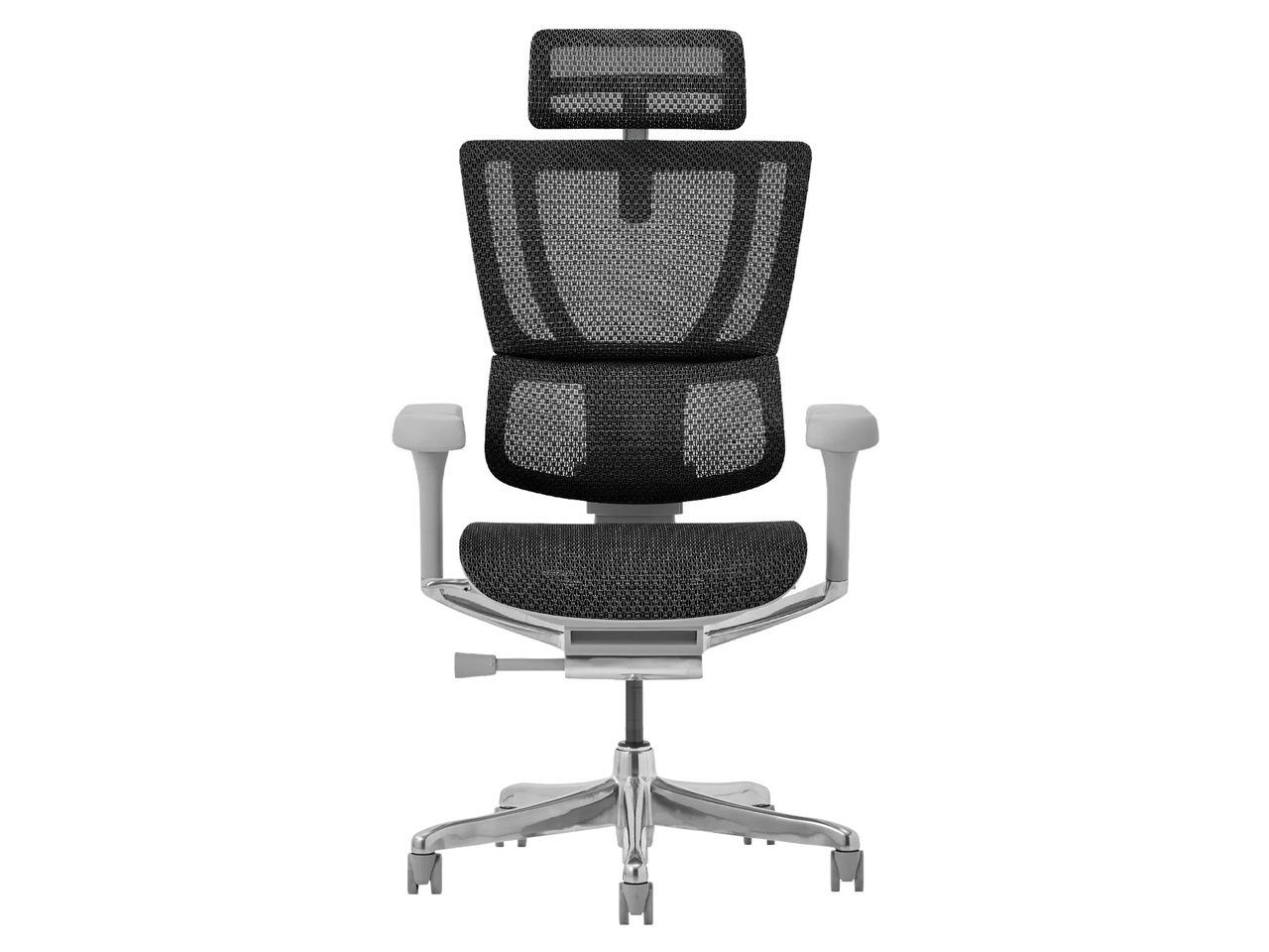 Ergohuman FIT2 FIT2-HAM-5D-DR-GF-BK [�u���b�N]