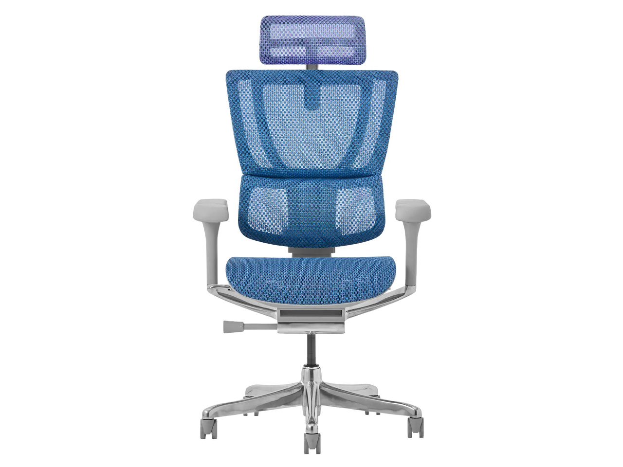 Ergohuman FIT2 FIT2-HAM-5D-DR-GF-BL [�u���[]