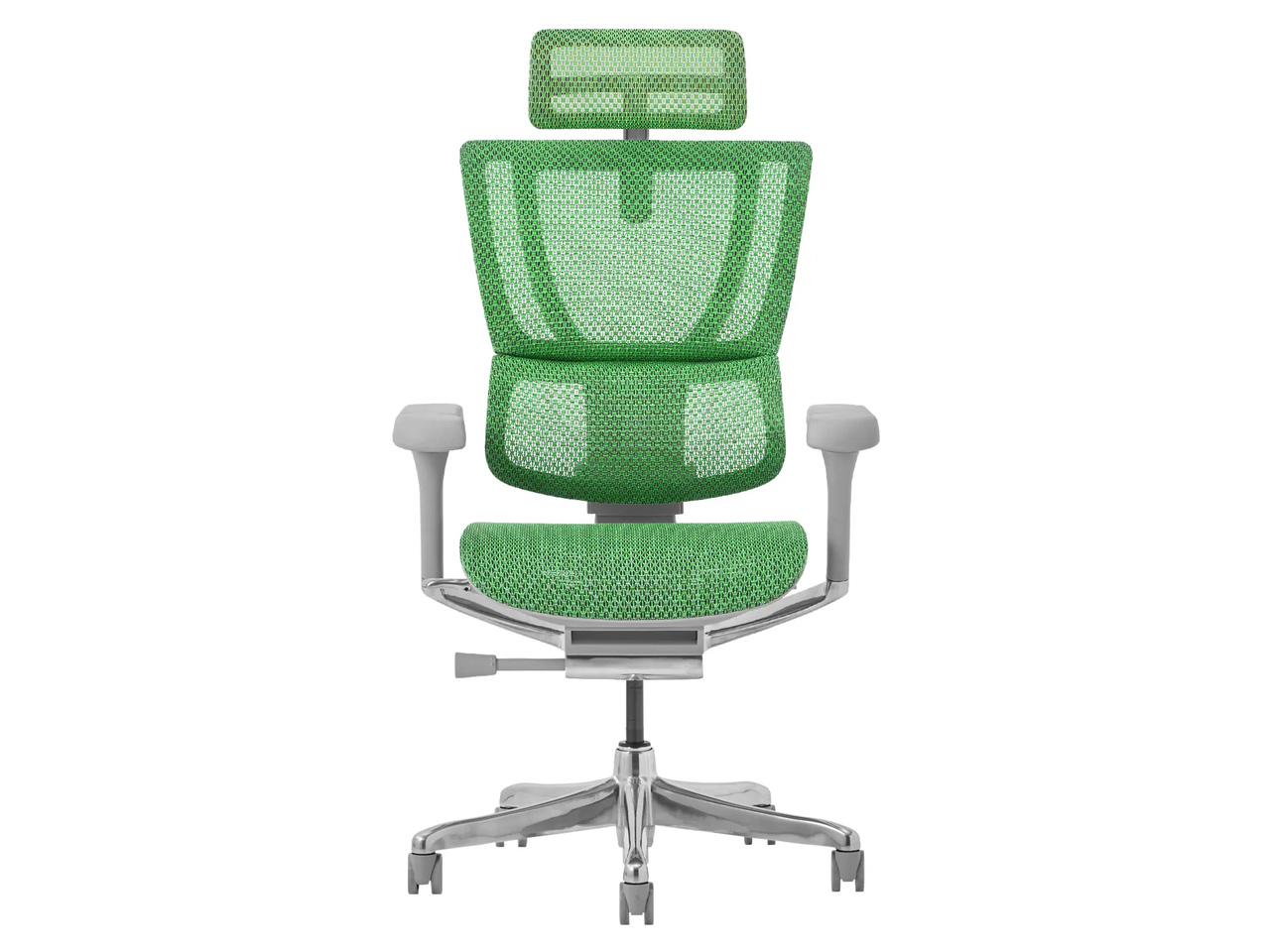 Ergohuman FIT2 FIT2-HAM-5D-DR-GF-GN [�O���[��]