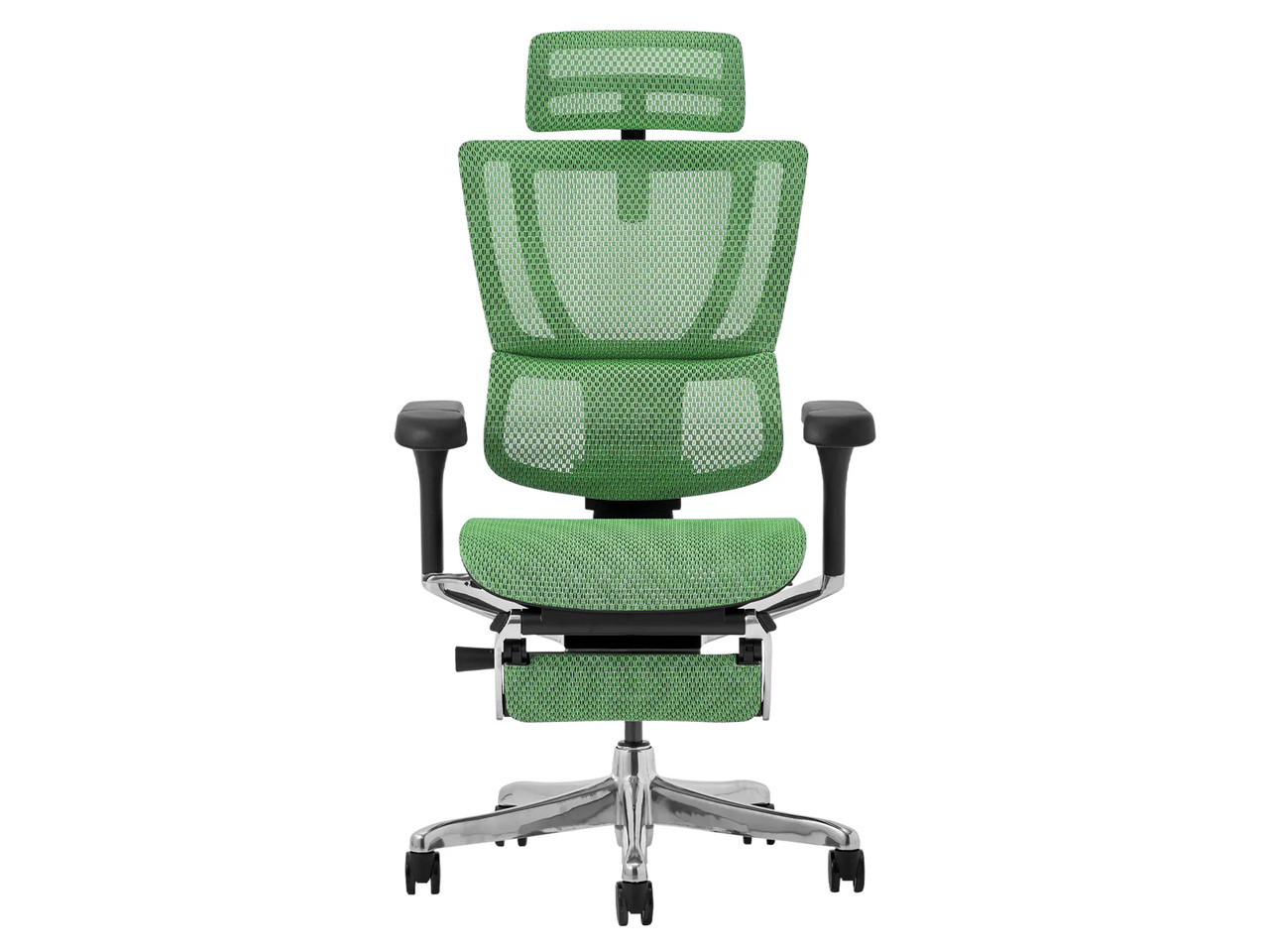Ergohuman FIT2 Ottoman FIT2-LPL-5D-DR-BF-GN [�O���[��]