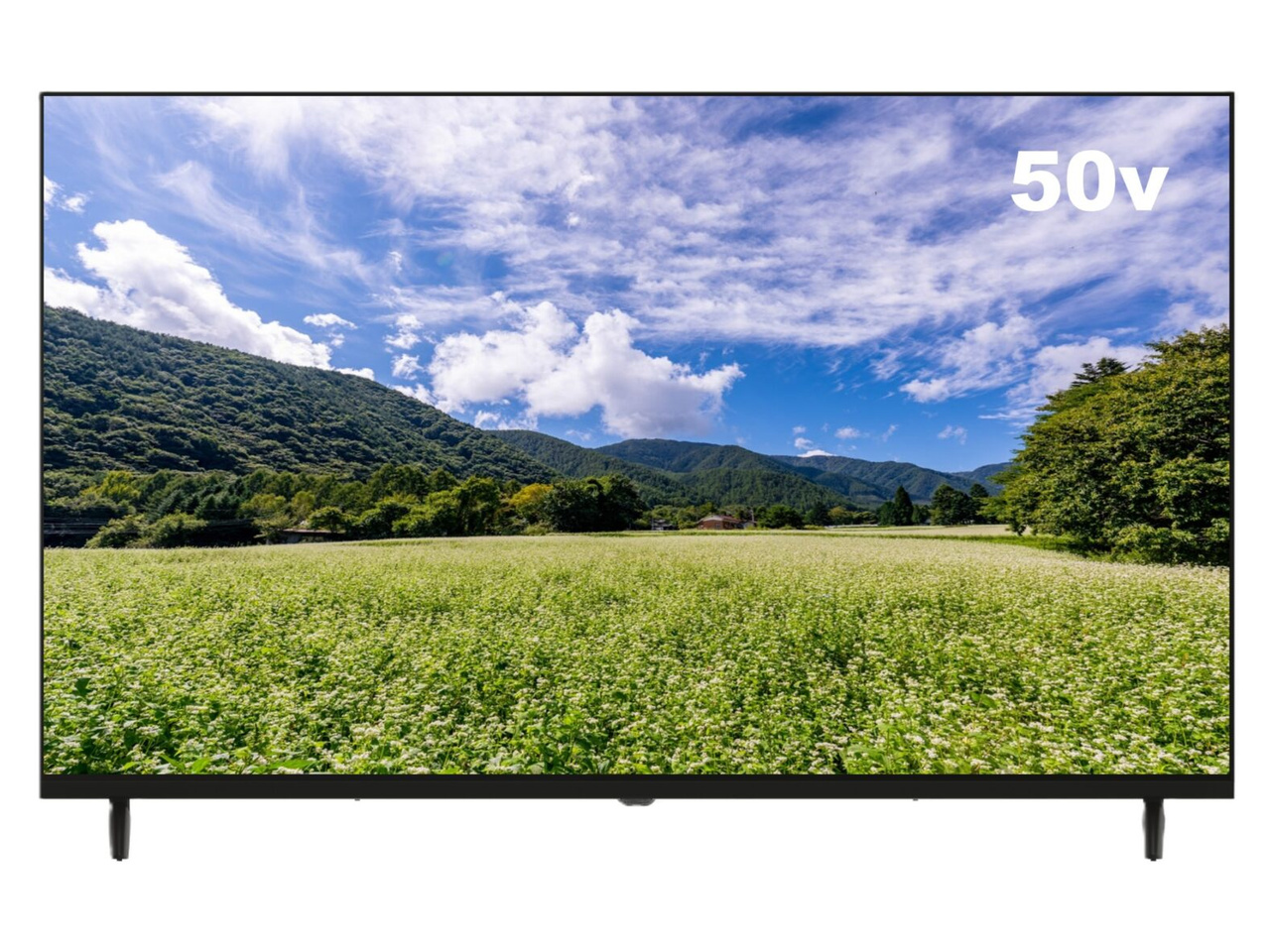 APEX AP50DPXA [50インチ]