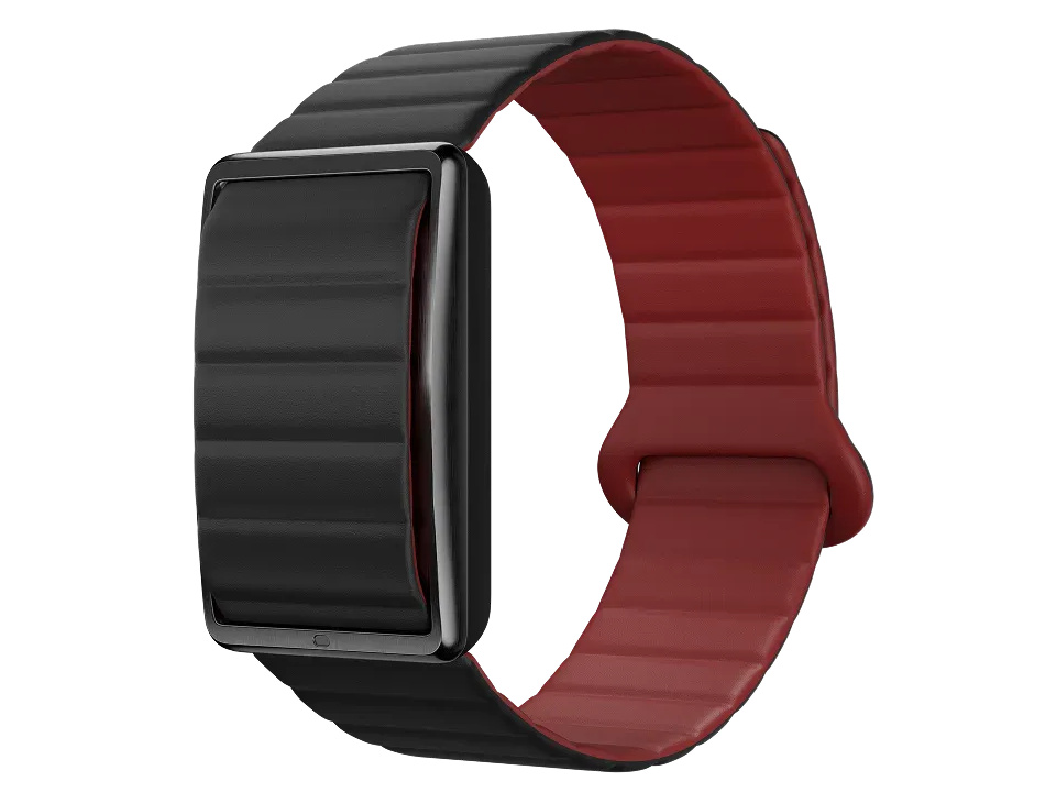 POLAR Loop �}�O�l�b�g�V���R�� [�u���b�N]