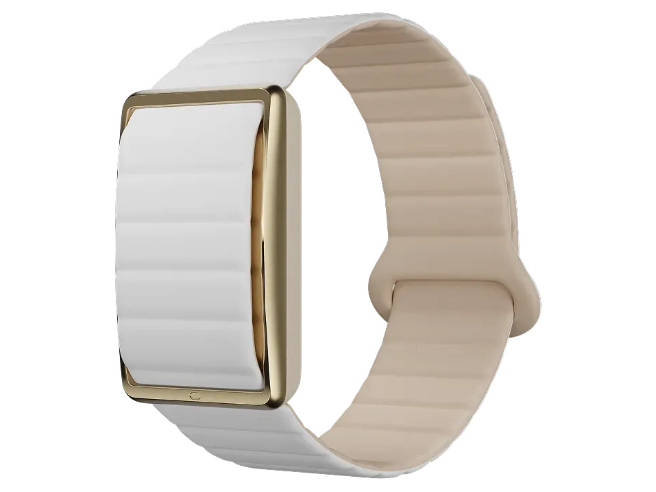 POLAR Loop �}�O�l�b�g�V���R�� [�x�[�W��]