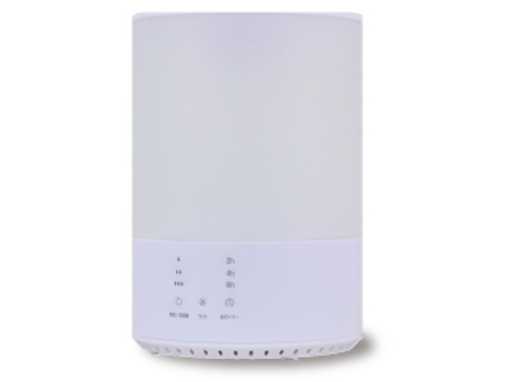 おおたけ WH-S406