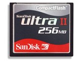 SDCFH-256-903 (256MB) i摜