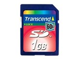 TS1GSD60 (1GB) 製品画像