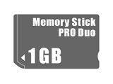 [XeBbN PRO DUO 1GB i摜