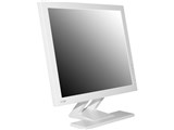 CG-L17DSW [17�C���`]