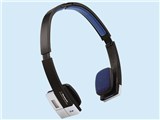 SV-SD01 i摜