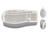 Wireless Laser Desktop 6000 B7T-00006 i摜